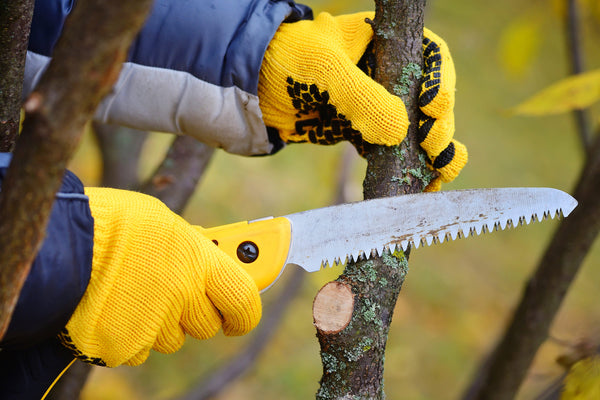 types of pruning saws