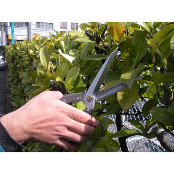 Nishigaki Professional Leaf-Cutting Shears N-208