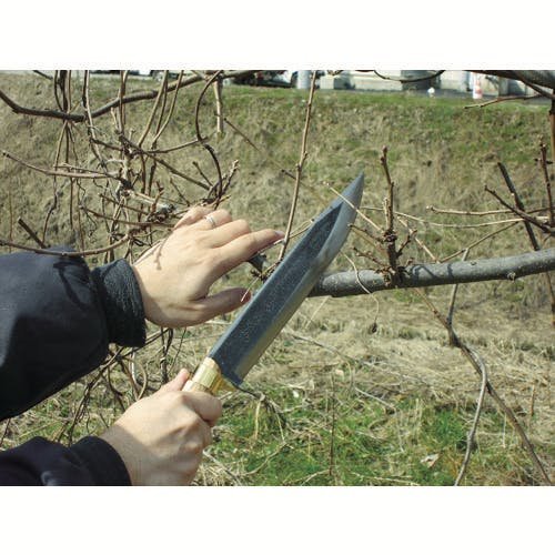 Kanenori Nata Single-Bevel Carbon Steel Yamanata Japanese Machete 240mm C-30