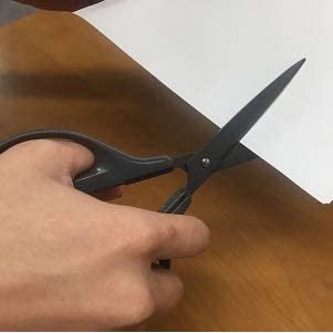 Hasegawa Canary Office Scissors Gray EP-175F