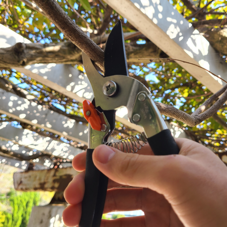 garden tools scissors Saboten Pro Pruning Shears Lightweight Heavy Duty Pruners 205mm by Daitool