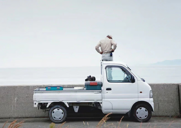 Best Japanese Mini Trucks: Buyer's Guide & Top Models