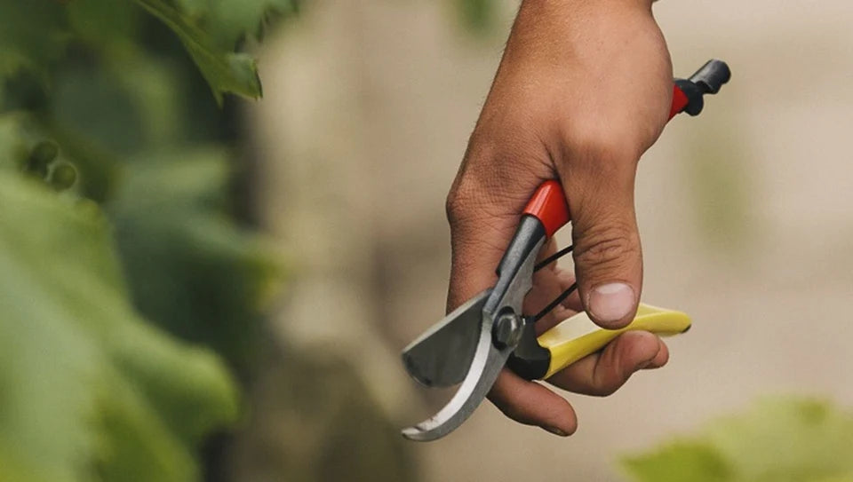 Pruning Shears / Secateurs-Daitool