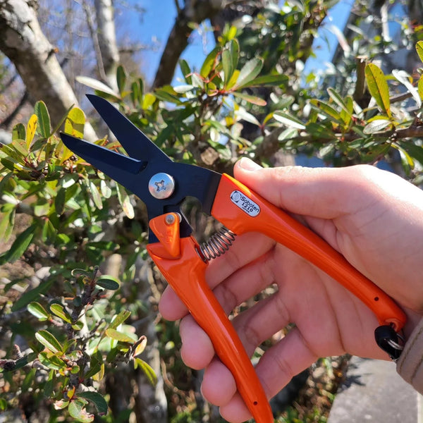 saboten pruning shears and saws