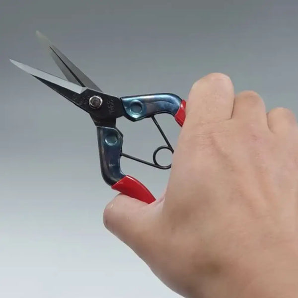 Chikamasa Pruning Shears (Japanese Hand Pruners) T-550S