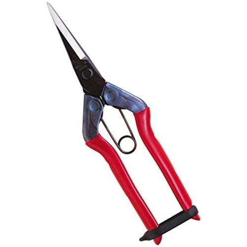 chika Chikamasa Pruning Shears T-550 – Daitool