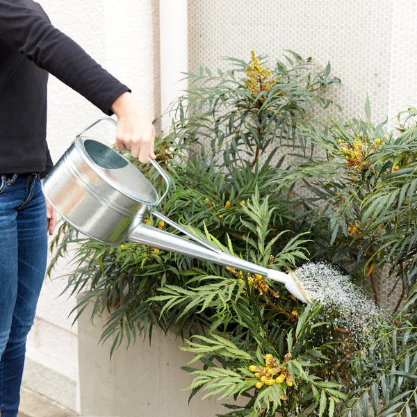 Trusco Galvanized Japanese Watering Can 4 Liters CGI-04