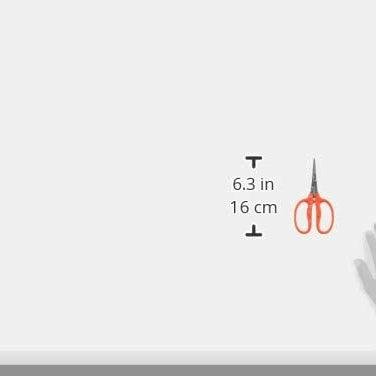 Chikamasa Grape Thinning Shears B-500SF-Daitool
