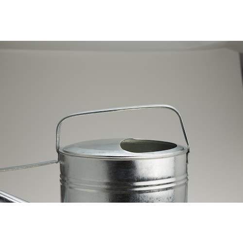 Trusco Galvanized Watering Can 6 Liters CGI-06