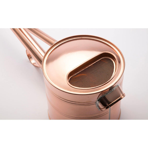 Negishi Long Neck Copper Watering Can (Bonsai Watering Can) 6L-Daitool