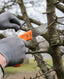japanese pruning saws from daitool