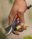 japanese pruning shears from daitool
