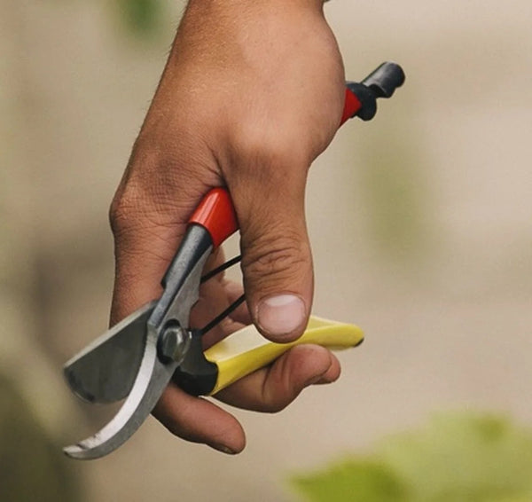 The 11 Tools Every Garage Needs Best Tools For Mechanics Daitool The 11 tools every garage needs best tools for mechanics daitool