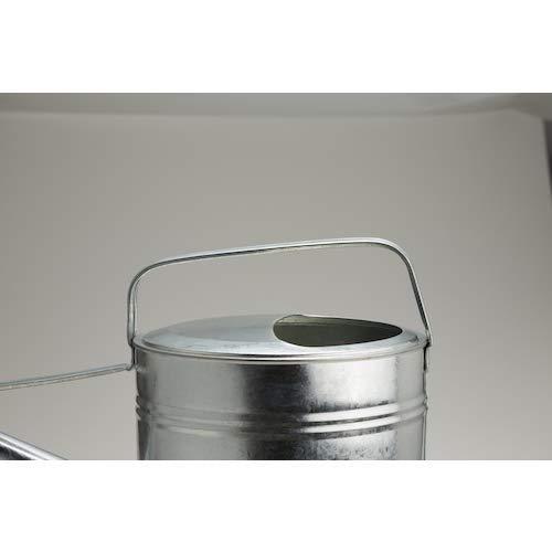 Trusco Galvanized Watering Can 6 Liters CGI-06-Daitool